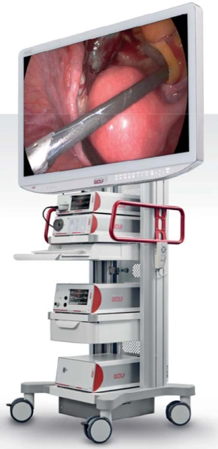 Wolf Endoscope